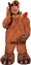 Load image into Gallery viewer, ALF ROSE  60" TALL CARDBOARD CUTOUT STANDEE - PARTY DECOR (Copy) (Copy)