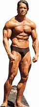 Load image into Gallery viewer, ARNOLD SCHWARZENEGGER#1 -74" TALL-CARDBOARD CUTOUT STANDEE PARTY DECOR (Copy)