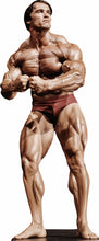 Load image into Gallery viewer, ARNOLD SCHWARZENEGGER#2 -74" TALL-CARDBOARD CUTOUT STANDEE PARTY DECOR (Copy) (Copy)