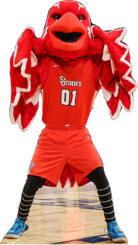 COLLEGE MASCOT ST JOHN'S THUNDERBIRD 69