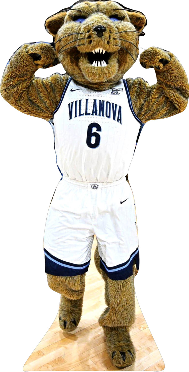 COLLEGE MASCOT VILLANOVER WILDCATS 69