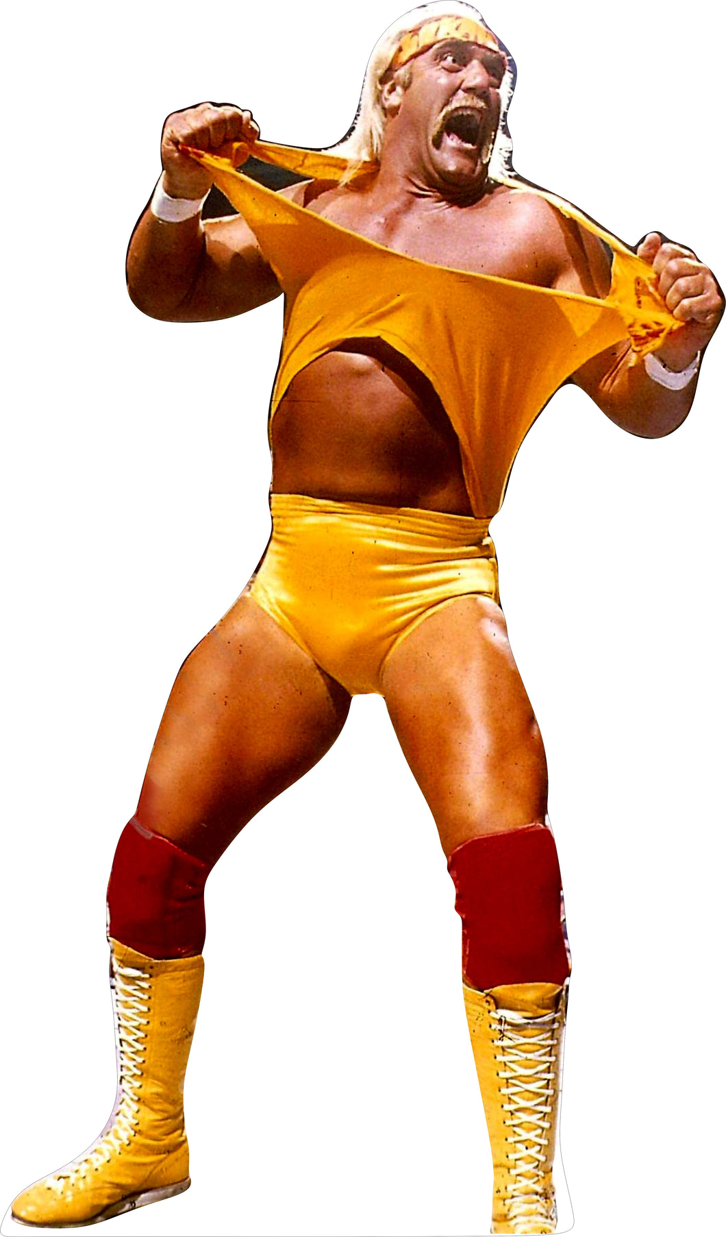 HULK HOGAN #3 79