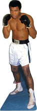 Load image into Gallery viewer, MUHAMMAD ALI #1   75"TALL CARDBOARD CUTOUT STANDEE - PARTY DECOR (Copy) (Copy) (Copy) (Copy) (Copy) (Copy) (Copy)
