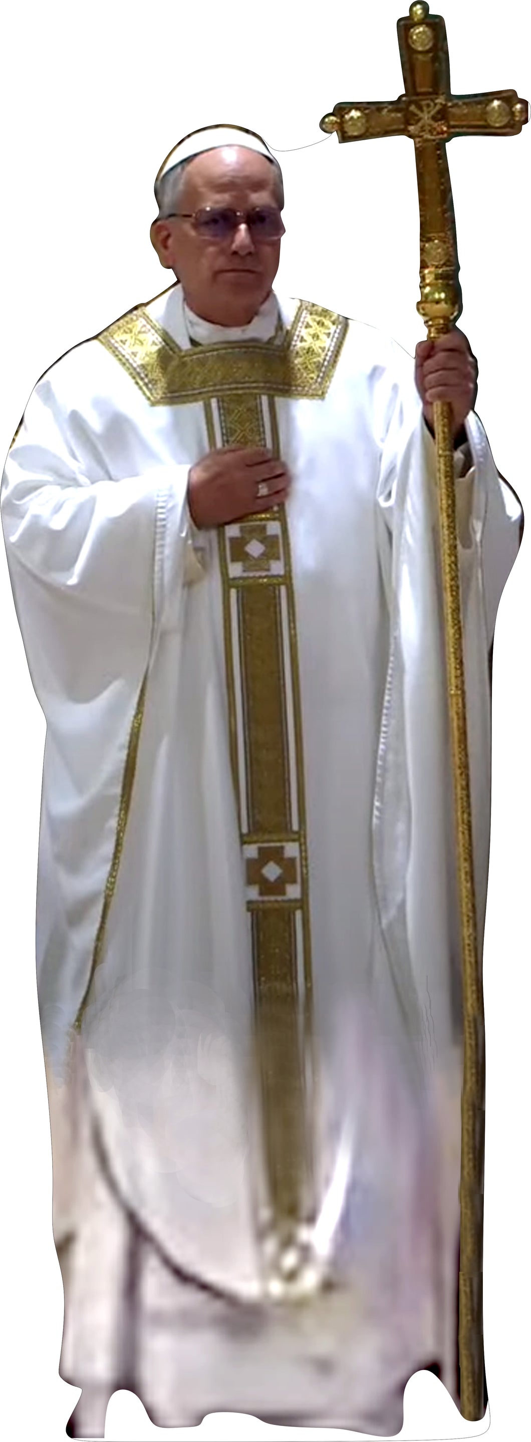 POPE LEO XIV 79