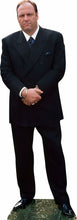 Load image into Gallery viewer, SOPRANO TONY JAMES GANDOLFINI #2  72" TALL CARDBOARD CUTOUT STANDEE - PARTY DECOR (Copy) (Copy) (Copy) (Copy) (Copy) (Copy) (Copy) (Copy) (Copy) (Copy) (Copy) (Copy) (Copy)