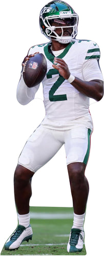 TYROD TAYLOR NYJETS  73