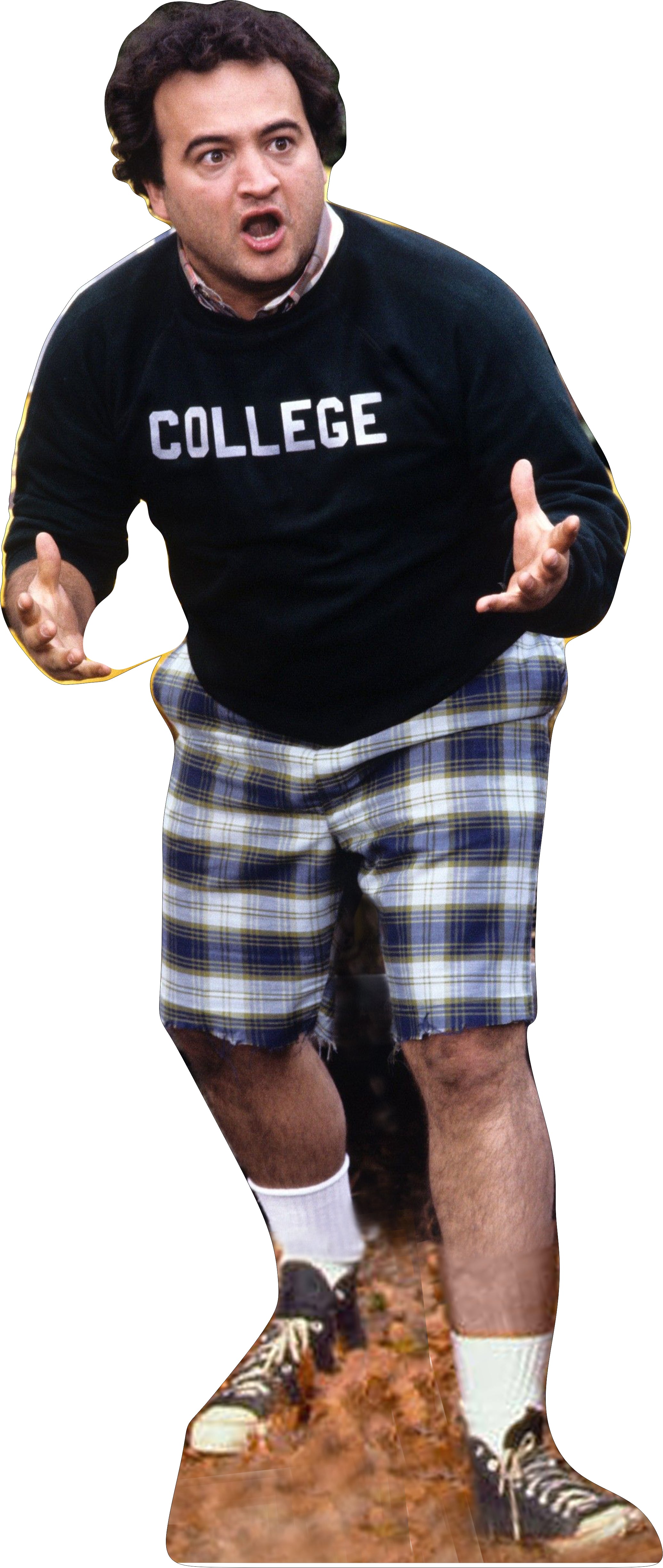 JOHN BELUSHI COLLEGE-ANIMAL HOUSE 70's 68