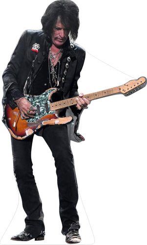 JOE PERRY GUITARIST 69